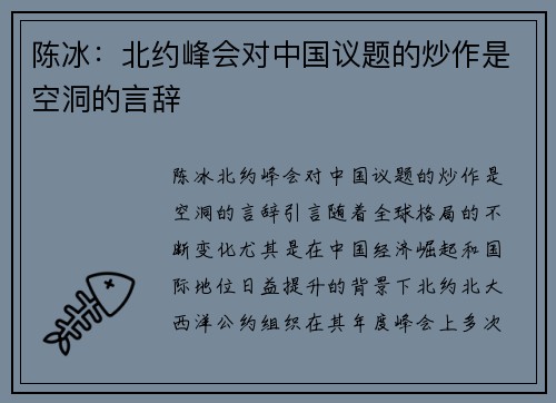 陈冰：北约峰会对中国议题的炒作是空洞的言辞