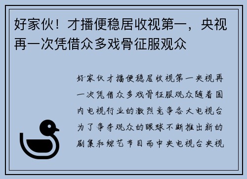 好家伙！才播便稳居收视第一，央视再一次凭借众多戏骨征服观众