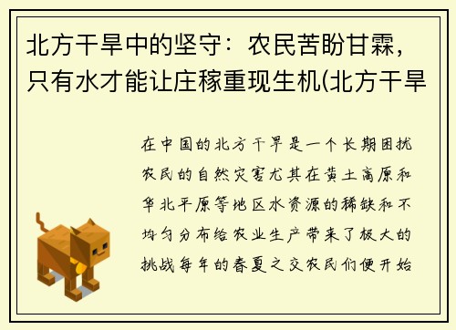 北方干旱中的坚守:农民苦盼甘霖,只有水才能让庄稼重现生机(北方干旱地区)