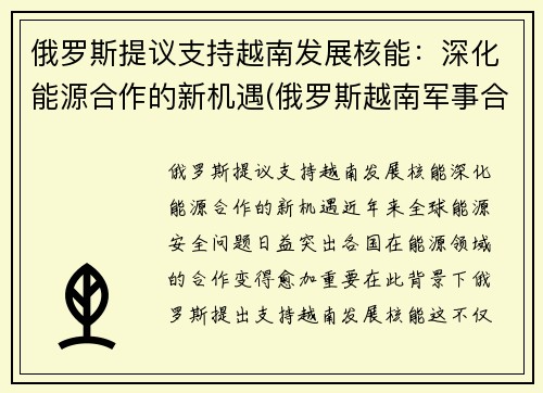 俄罗斯提议支持越南发展核能：深化能源合作的新机遇(俄罗斯越南军事合作)