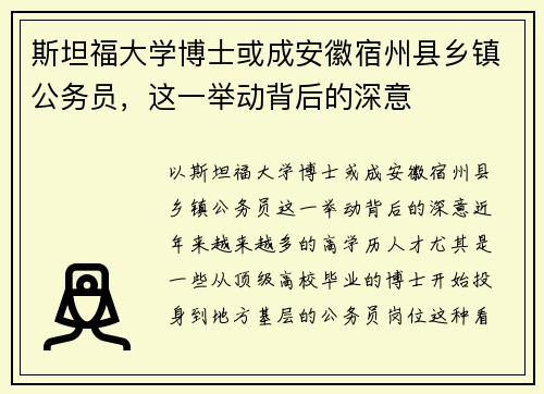斯坦福大学博士或成安徽宿州县乡镇公务员，这一举动背后的深意